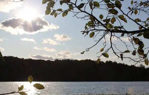 Lot 4 Forest Ln, Pickerel, WI 54465