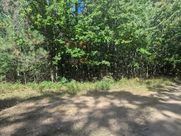Lot 2 Smoky Ln, Conover, WI 54519