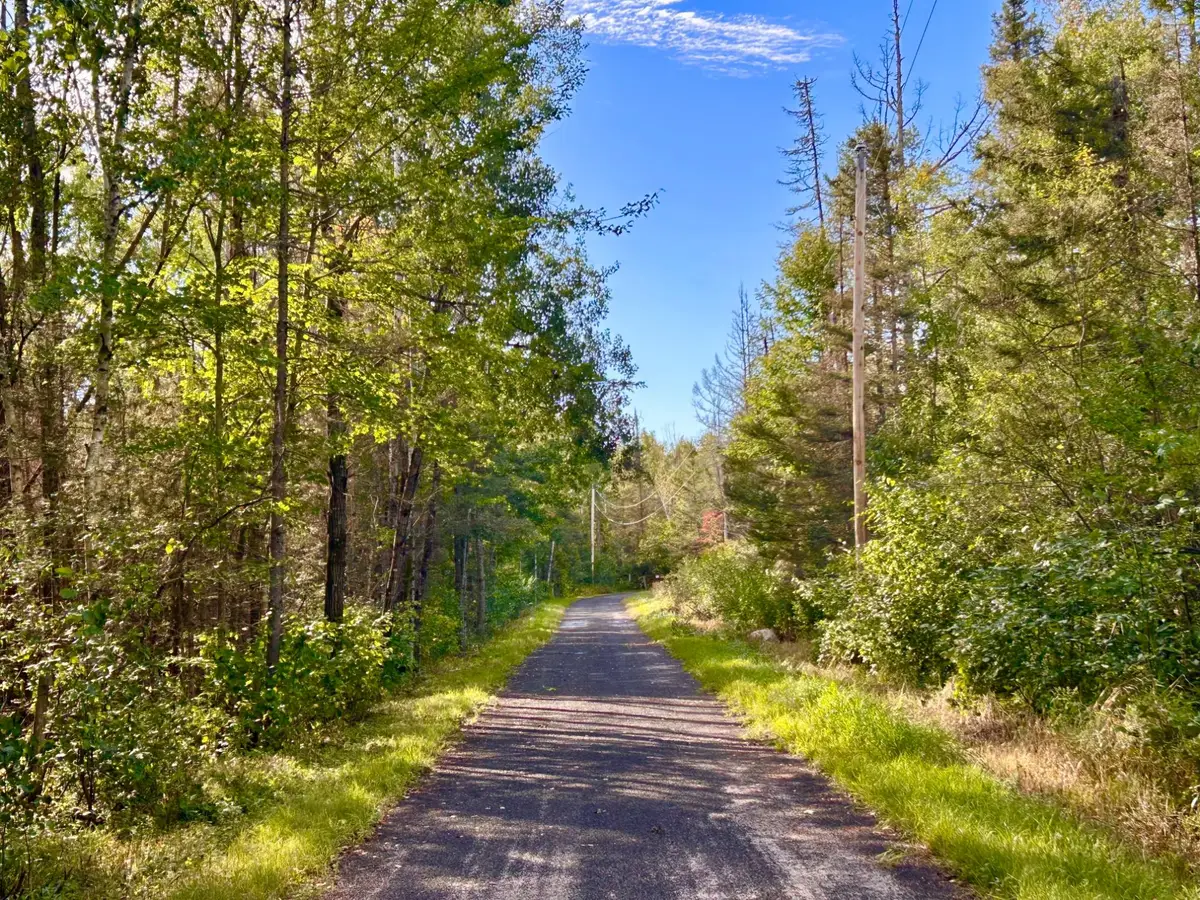 ON Hermans Ln, Argonne, WI 54511 - #1