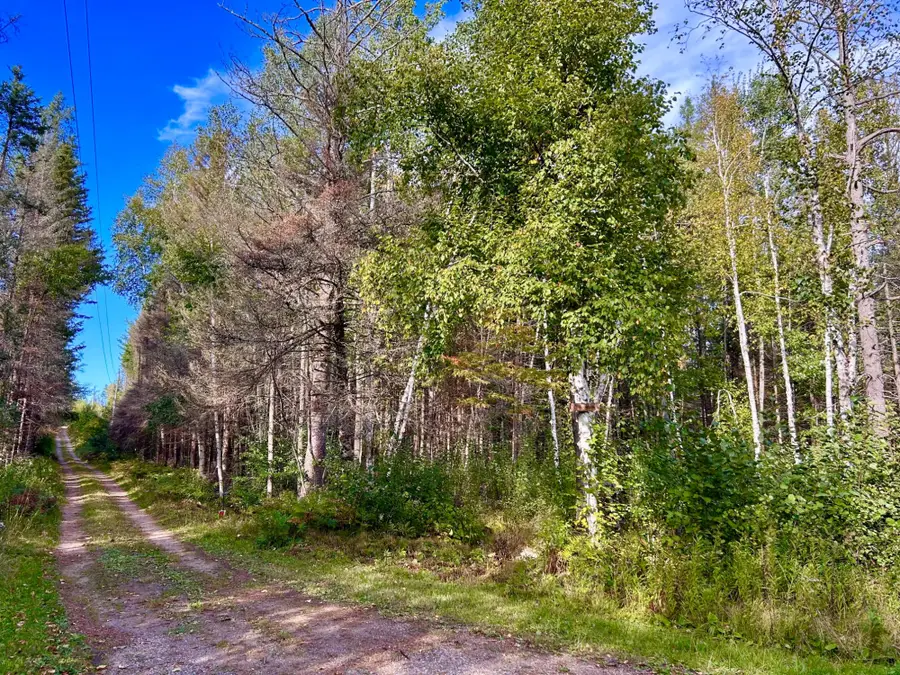 ON Hermans Ln, Argonne, WI 54511 - #2