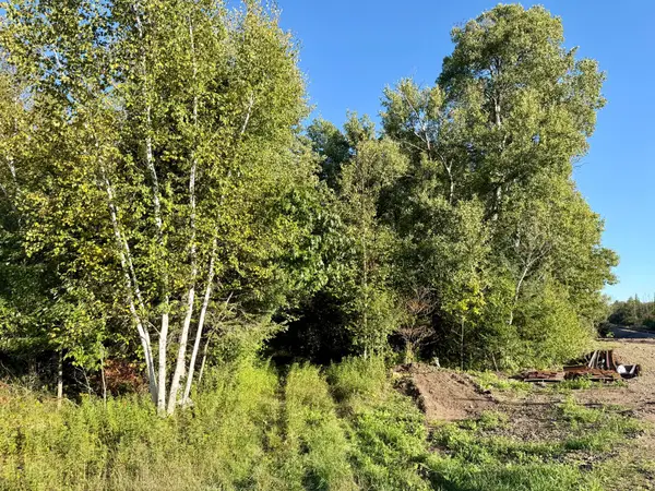 60ac On Hwy 107, Tomahawk, WI 54487