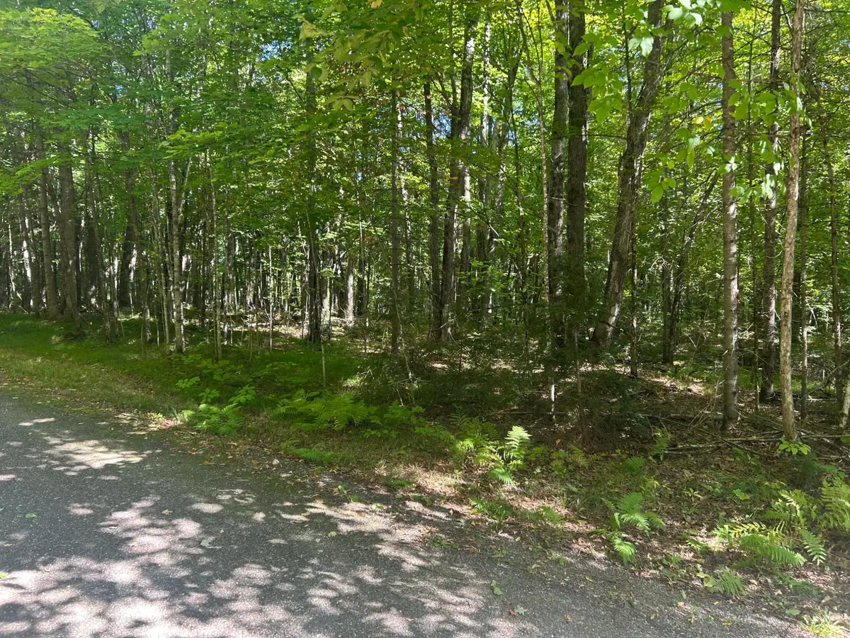 None Balsam Row Rd, Presque Isle, WI 54557 - #1