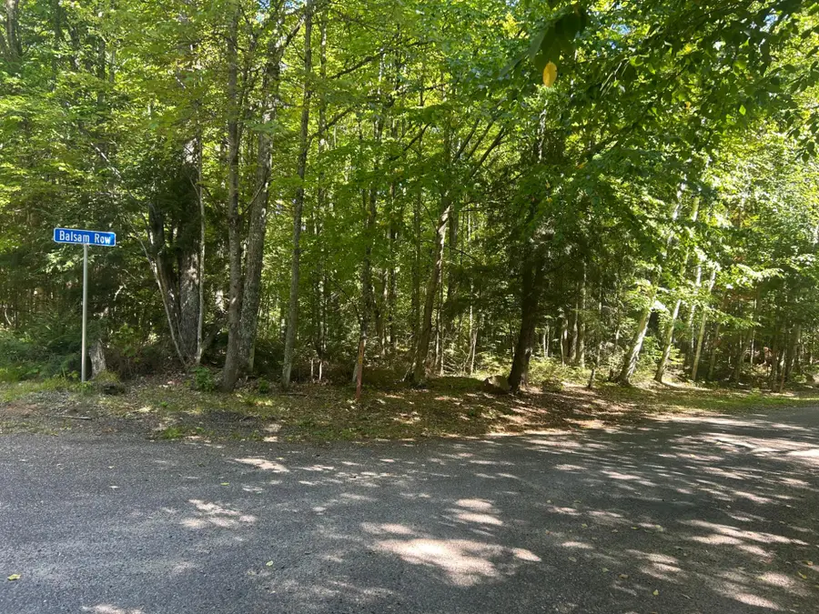 None Balsam Row Rd, Presque Isle, WI 54557 - #2