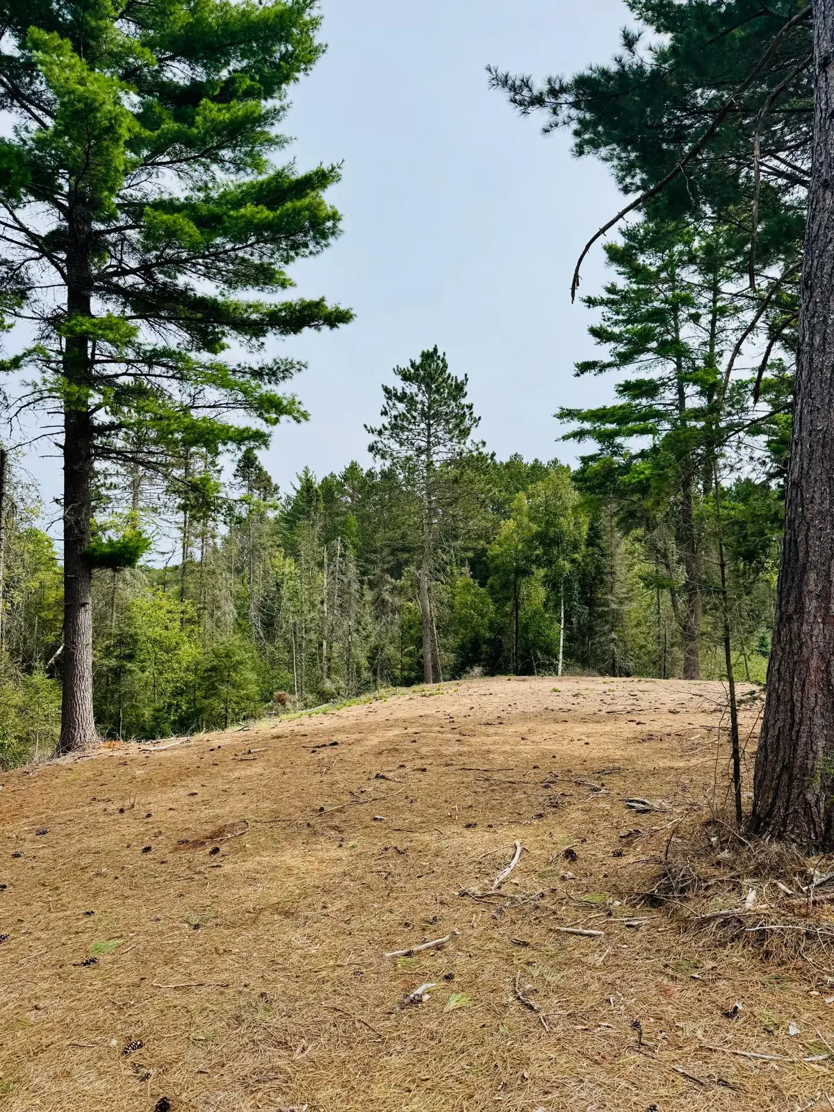 5179 Babcock Rd, Land O Lakes, WI 54540 - #1