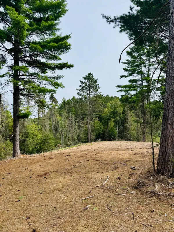 5179 Babcock Rd, Land O Lakes, WI 54540