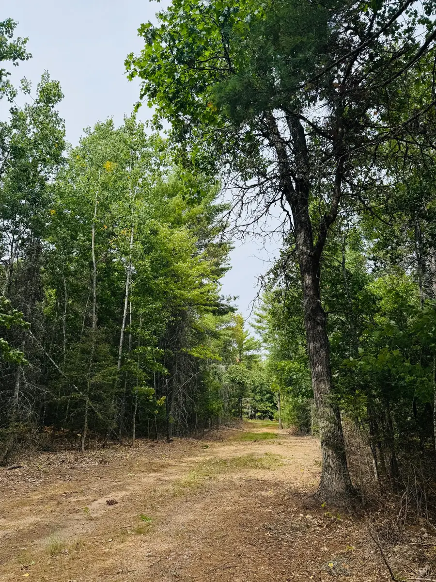 5179 Babcock Rd, Land O Lakes, WI 54540 - #3