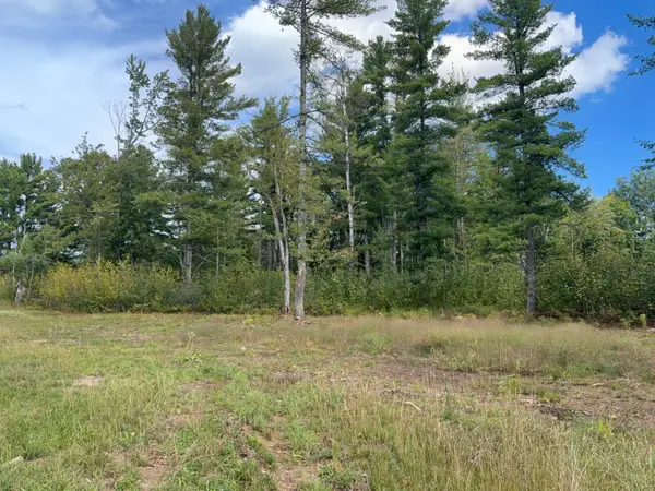 Lot 1 Cator Dr, Minocqua, WI 54548
