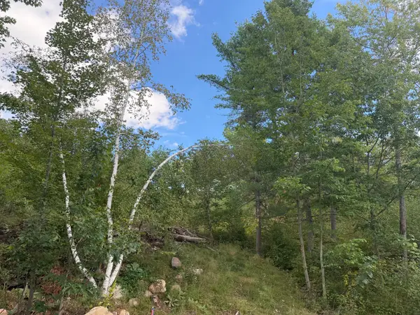 Lot 2 Cator Dr, Minocqua, WI 54548