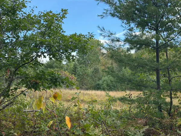 Lot 7 Cator Dr, Minocqua, WI 54548