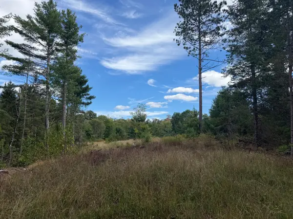Lot 8 Cator Dr, Minocqua, WI 54548