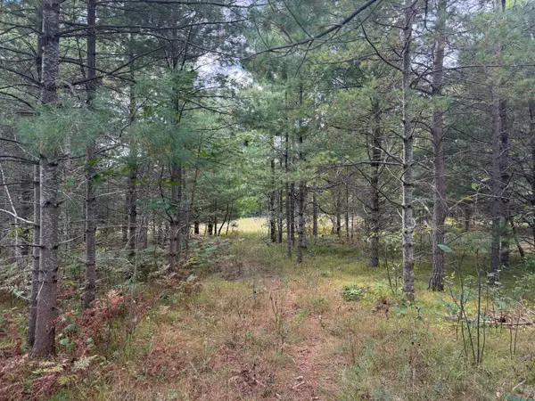 Lot 10 Cator Dr, Minocqua, WI 54548