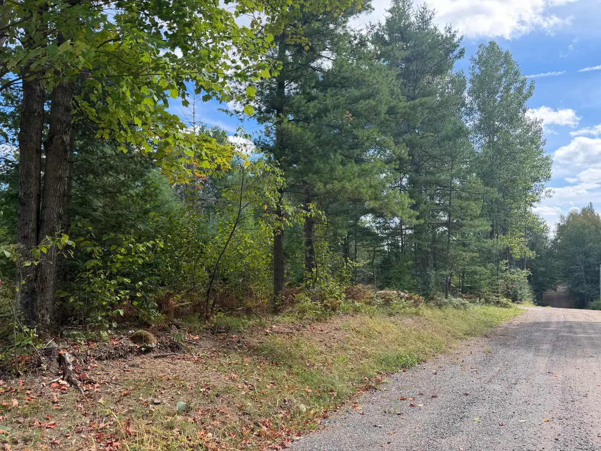 Lot 13 Cator Dr, Minocqua, WI 54548 - #1