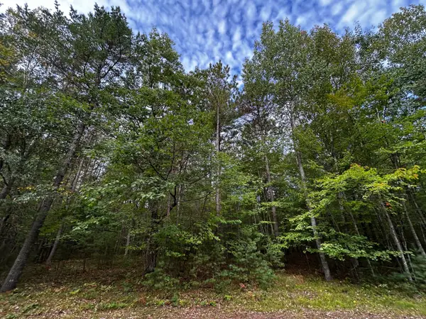Lot 39 Peggy Ln, Minocqua, WI 54548