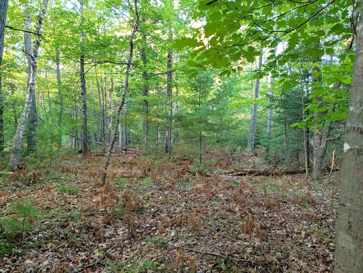 6582 Pinehurst Dr, Lake Tomahawk, WI 54539 - #1
