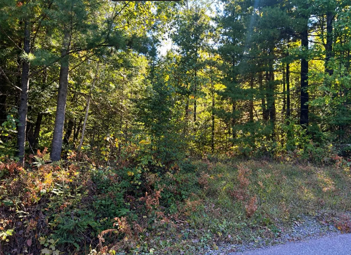 5 AC ON Tower Rd, Flambeau, WI 54555 - #1