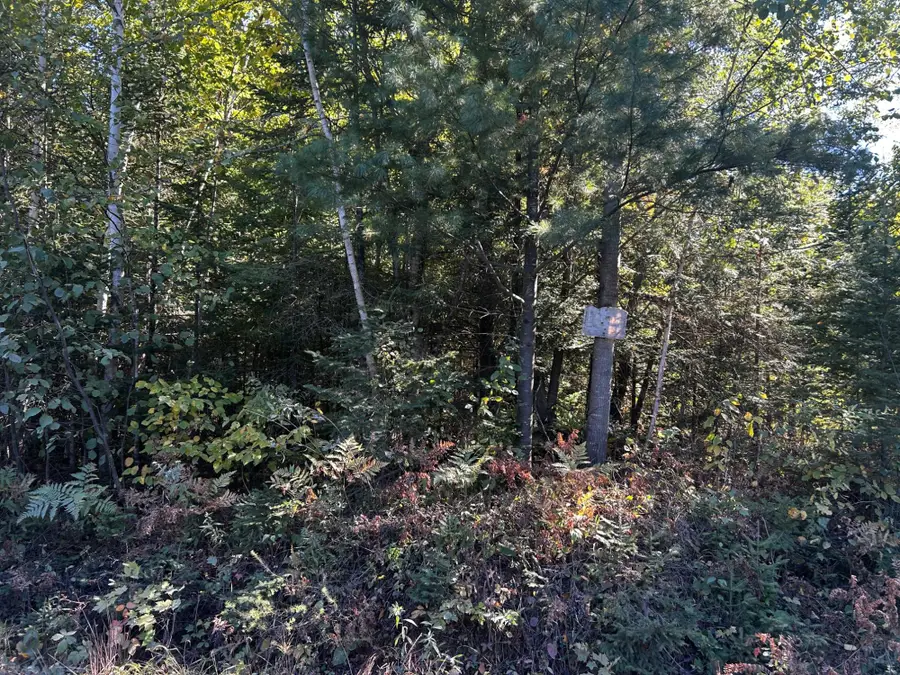 5 AC ON Tower Rd, Flambeau, WI 54555 - #3