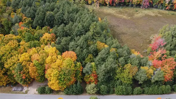 ON Connors Rd, Three Lakes, WI 54562