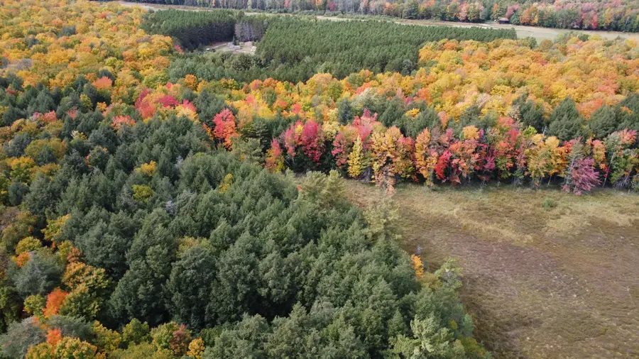 ON Connors Rd, Three Lakes, WI 54562 - #2