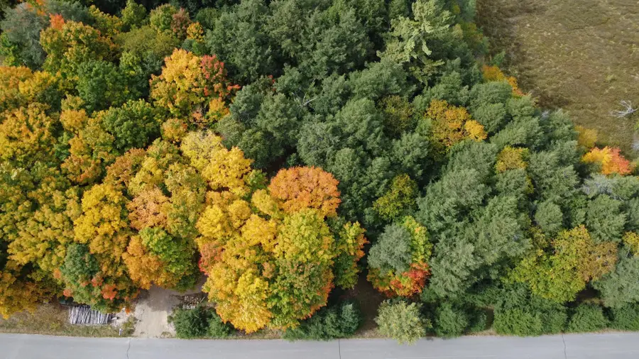 ON Connors Rd, Three Lakes, WI 54562 - #3