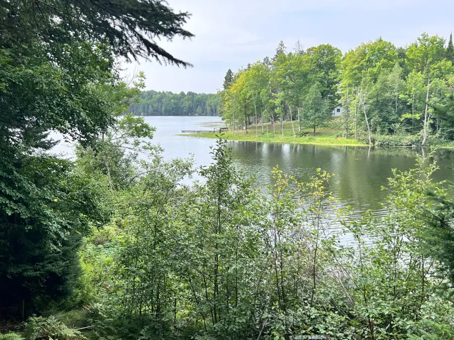 13563 Stateline Lake Rd, Marenisco, MI 49947 - #2