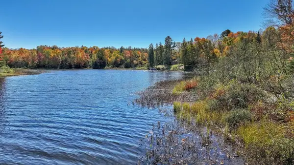 TBD off Cth Ff, Mercer, WI 54547