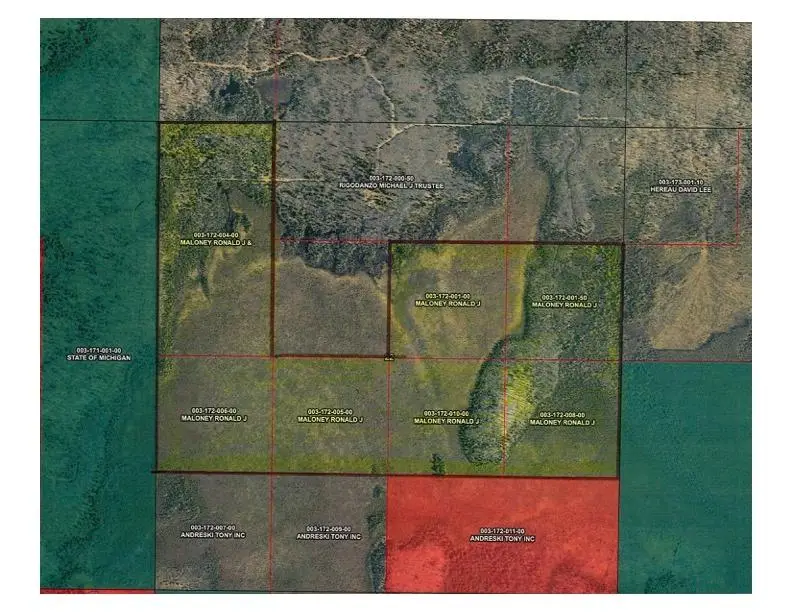 320 AC River Rd, Iron River, MI 49935 - #2