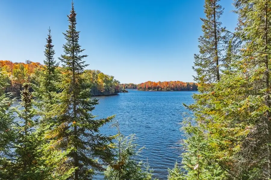 14211 Harris Creek Ln, Winchester, WI 54557 - #3
