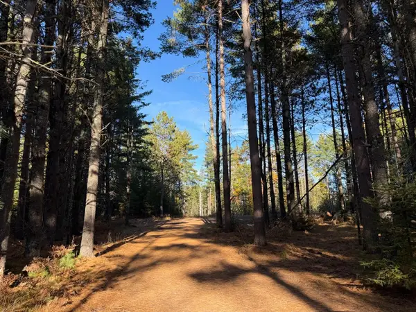 4560W Camp Nokomis Rd, Mercer, WI 54547