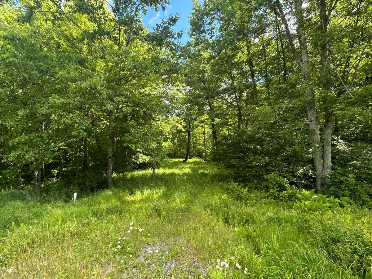 ON Badger Ave, Granton, WI 54436 - #1
