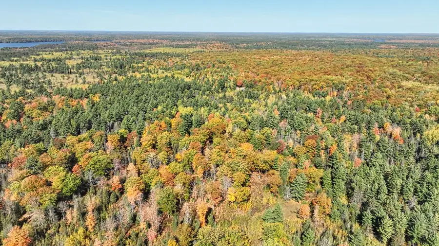 ON Reed Rd, Three Lakes, WI 54562 - #2