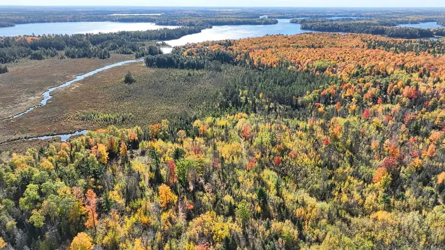 ON Reed Rd, Three Lakes, WI 54562 - #3