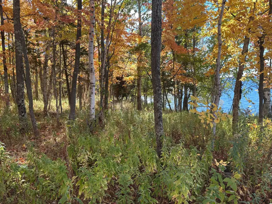 Off E Shore Rd #Parcel B, Marenisco, MI 49947 - #3