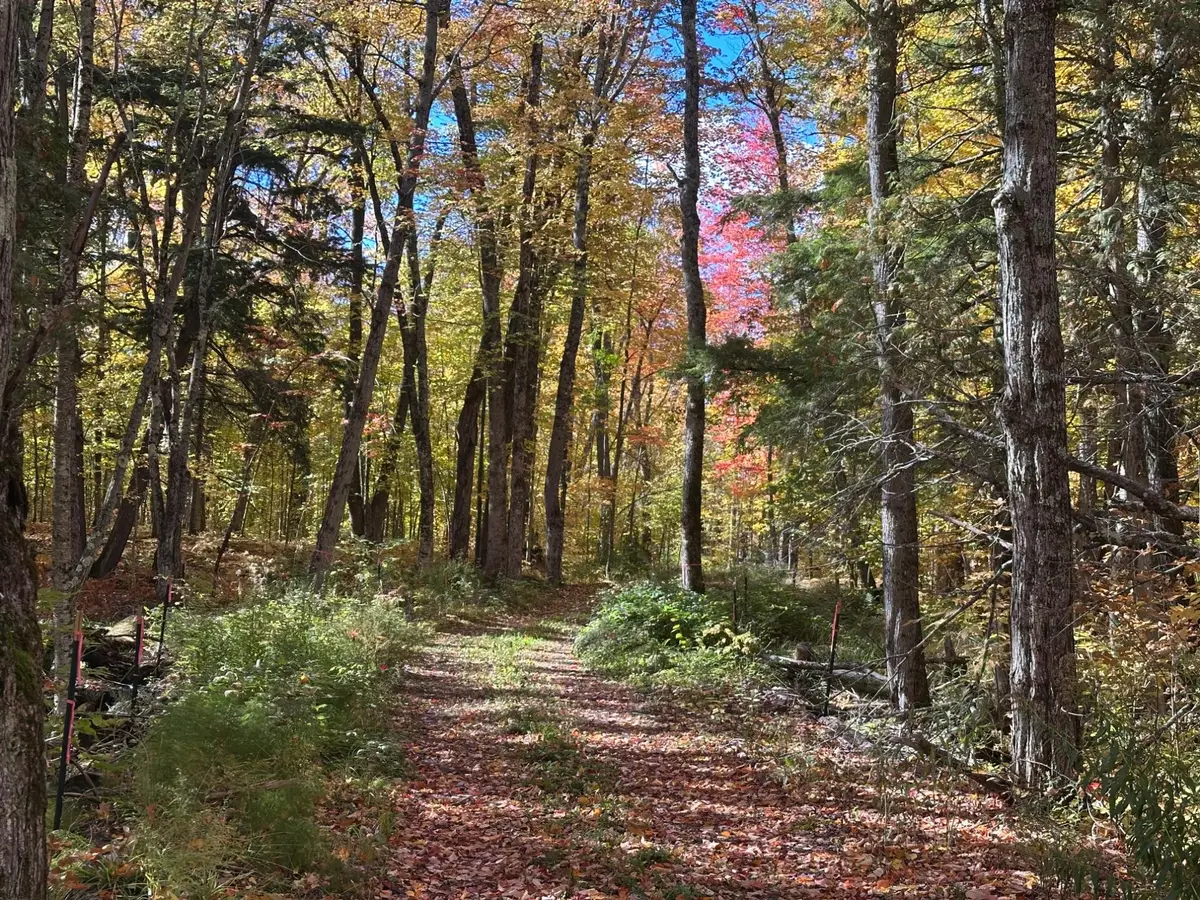 Off E Shore Rd #Parcel C, Marenisco, MI 49947 - #1