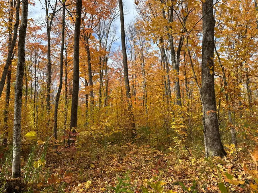 Off E Shore Rd #Parcel C, Marenisco, MI 49947 - #2