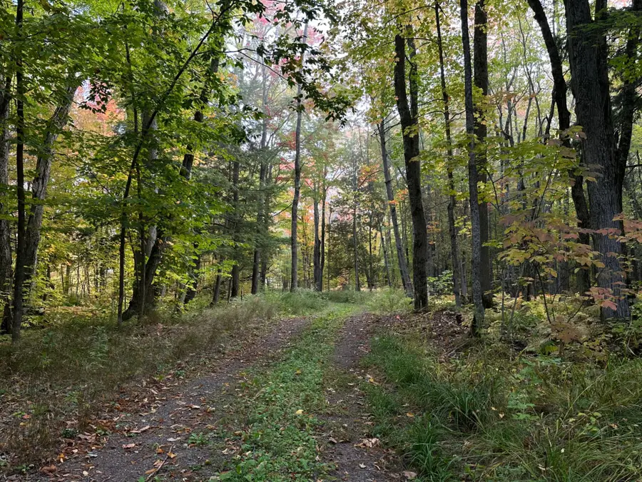 Off E Shore Rd #Parcel C, Marenisco, MI 49947 - #3