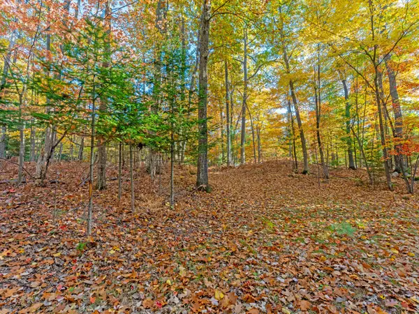 7126 Timber Ln, Lake Tomahawk, WI 54539