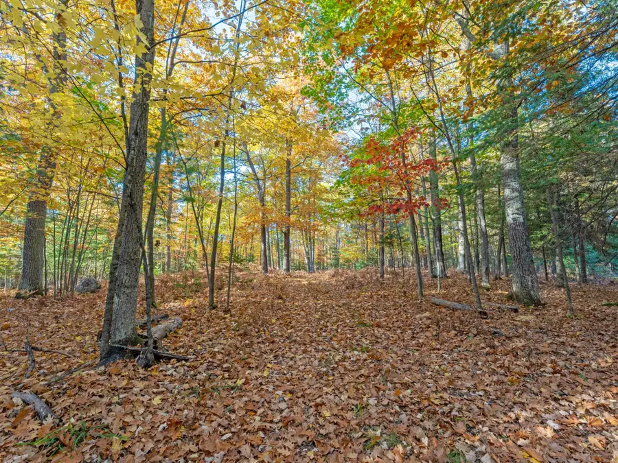 7126 Timber Ln, Lake Tomahawk, WI 54539 - #2
