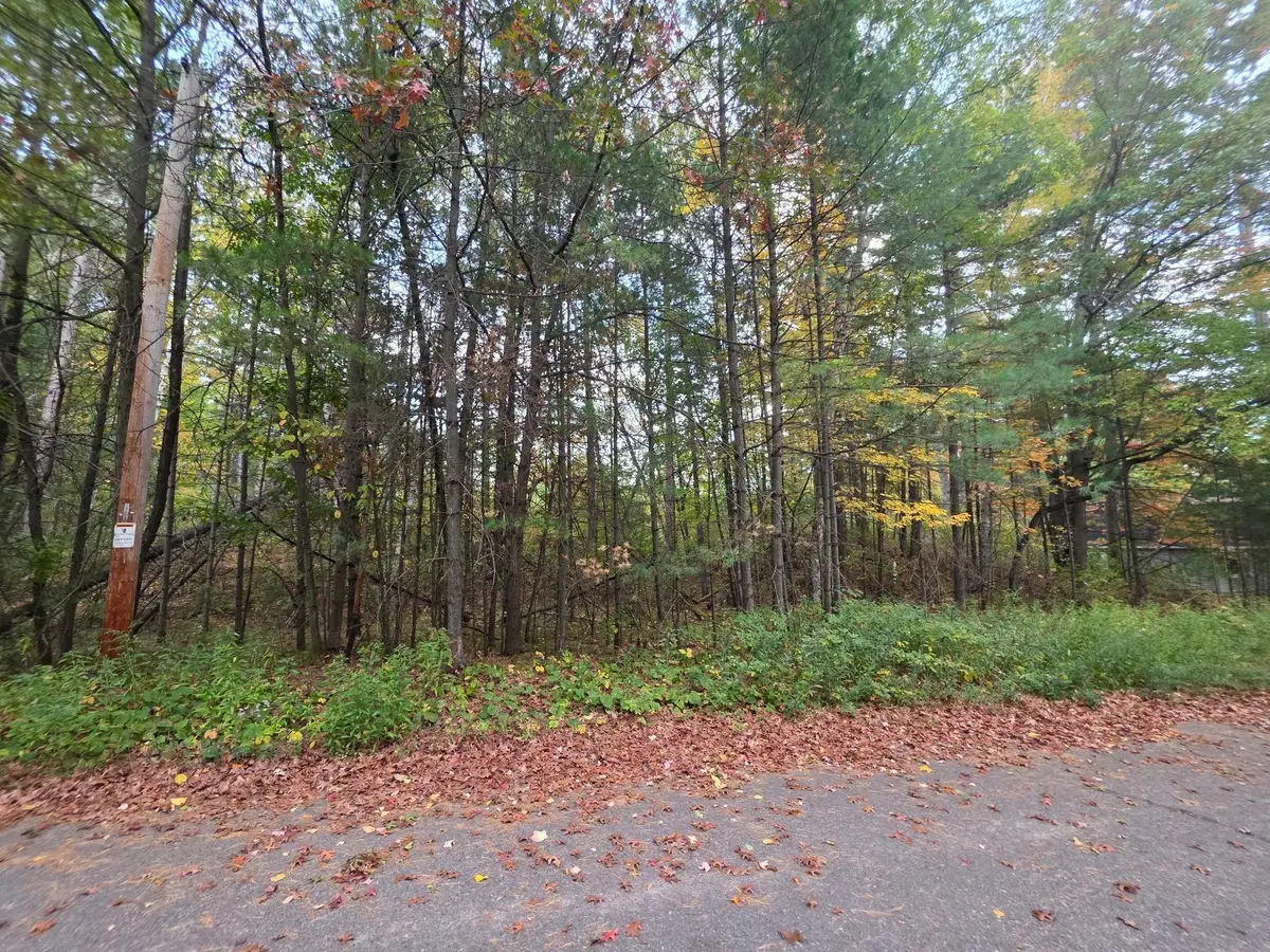 Lot19-20 Putnam St, Tomahawk, WI 54487 - #1