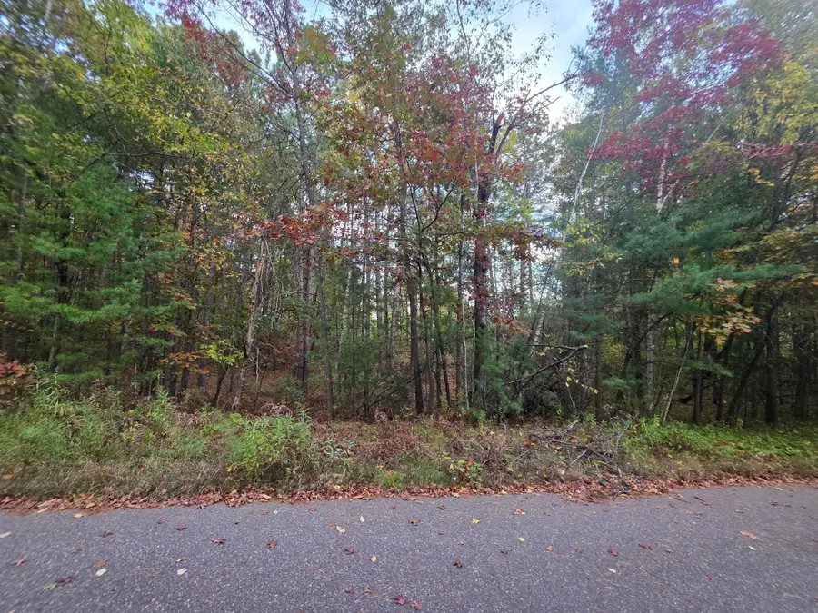 Lot19-20 Putnam St, Tomahawk, WI 54487 - #2