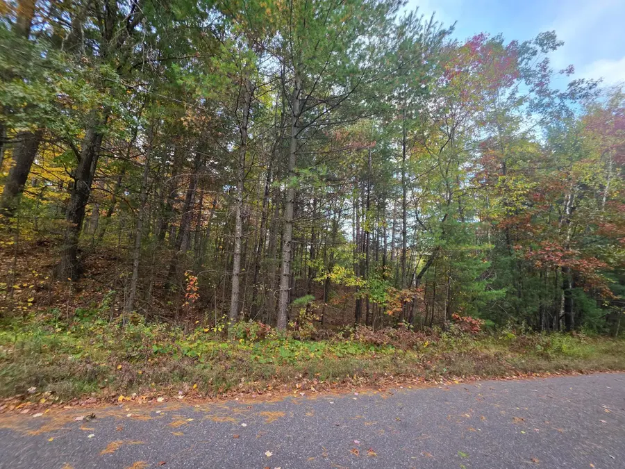 Lot19-20 Putnam St, Tomahawk, WI 54487 - #3