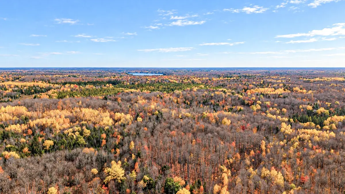 Off Chaney Lake Rd, Bessemer, MI 49911 - #1