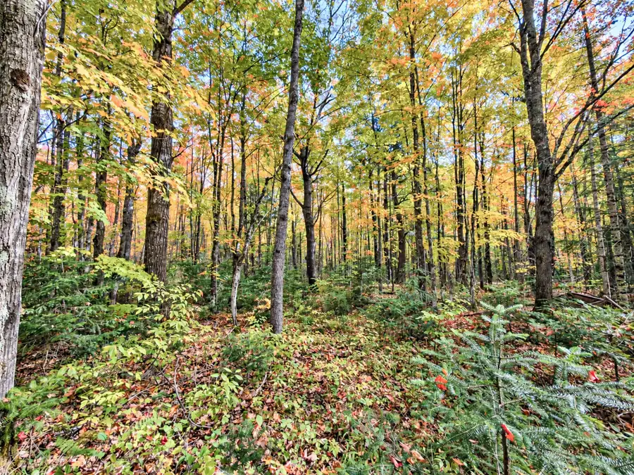 ON Lakeshore Dr, Bessemer, MI 49911 - #3