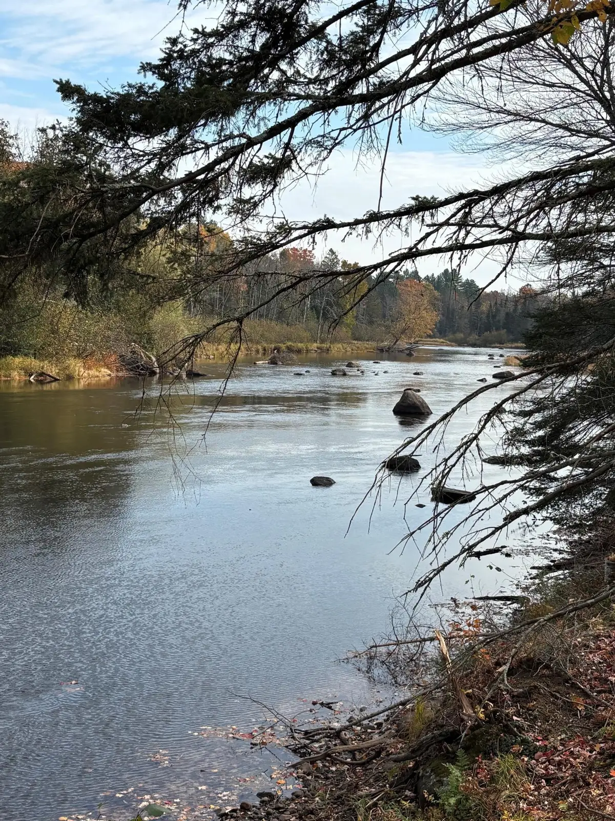 ON River Rd #9, Eagle River, WI 54521 - #1