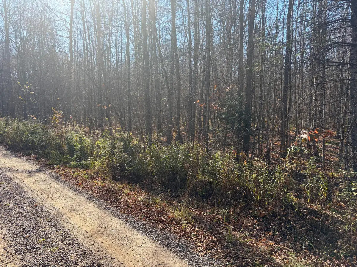 ON Pine Creek Rd, Park Falls, WI 54552 - #1