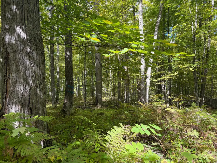 NEAR Ben Nichols Rd, Fence, WI 54120 - #3