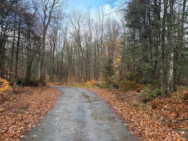 ON Net River Rd, Iron River, MI 49935