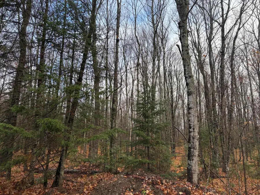 ON Net River Rd, Iron River, MI 49935 - #2