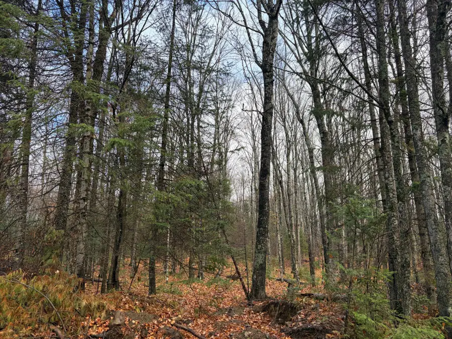 ON Net River Rd, Iron River, MI 49935 - #3