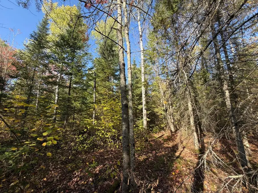LOT 3 Cth J, Mercer, WI 54547 - #2