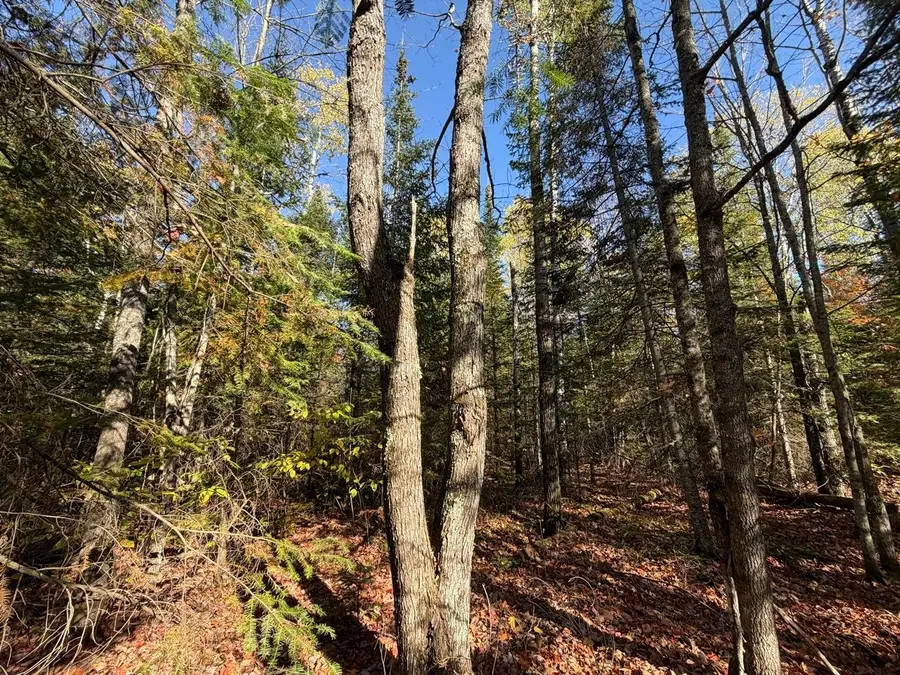 LOT 3 Cth J, Mercer, WI 54547 - #3